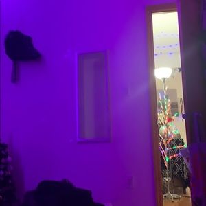 Meet your Posher, Sheena